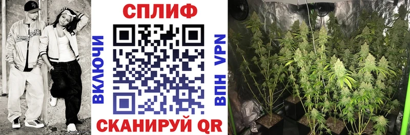 МАРИХУАНА план  даркнет сайт  Протвино 